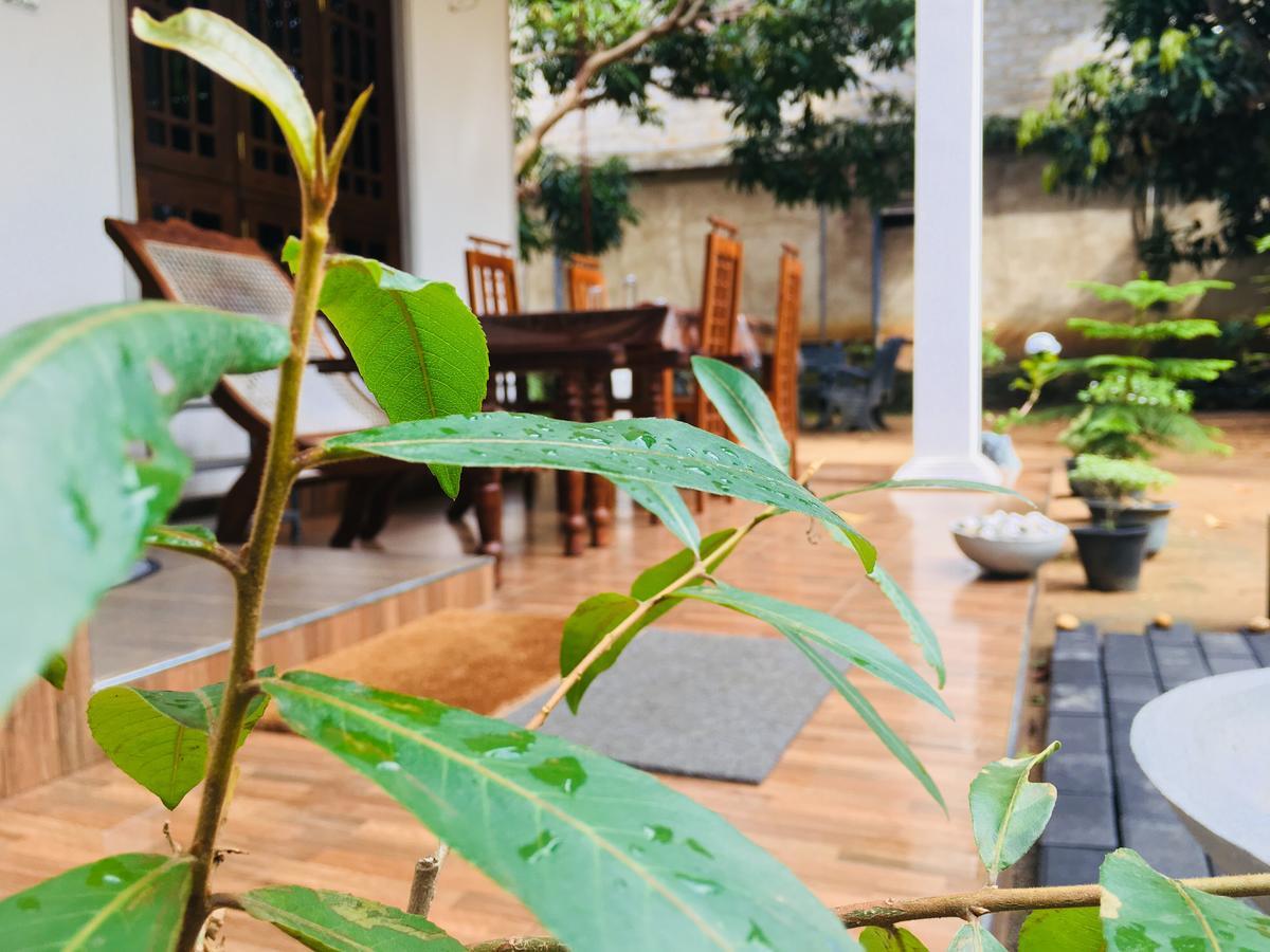 Perfect Hideout Hotel Dambulla Bagian luar foto