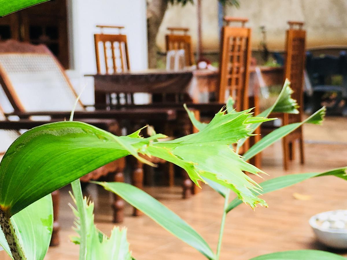 Perfect Hideout Hotel Dambulla Bagian luar foto