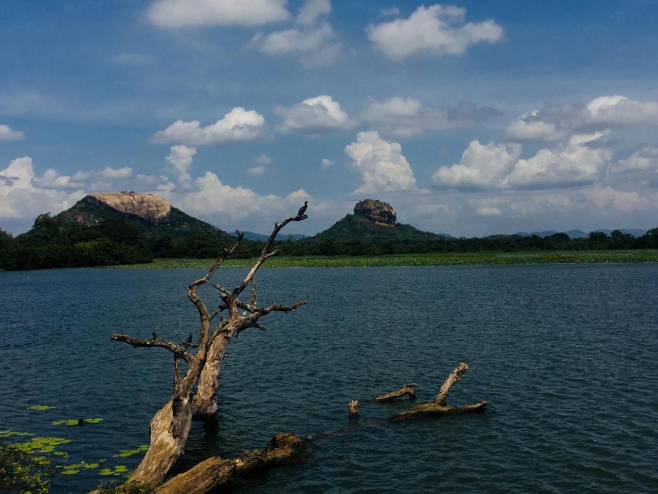 Perfect Hideout Hotel Dambulla Bagian luar foto